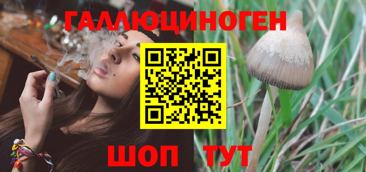 купить наркотик  Псилоцибиновые грибы прущие грибы  Вход с VPN  Джанкой 