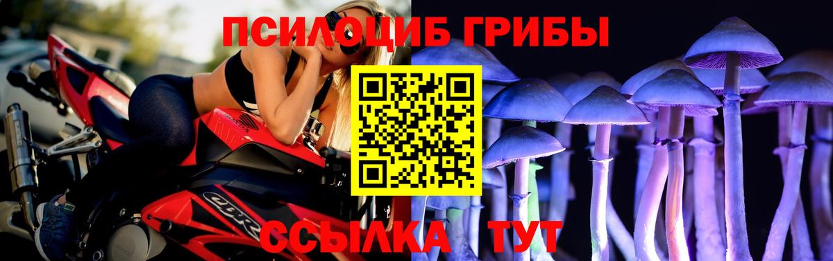 Галлюциногенные грибы Psilocybine cubensis Джанкой